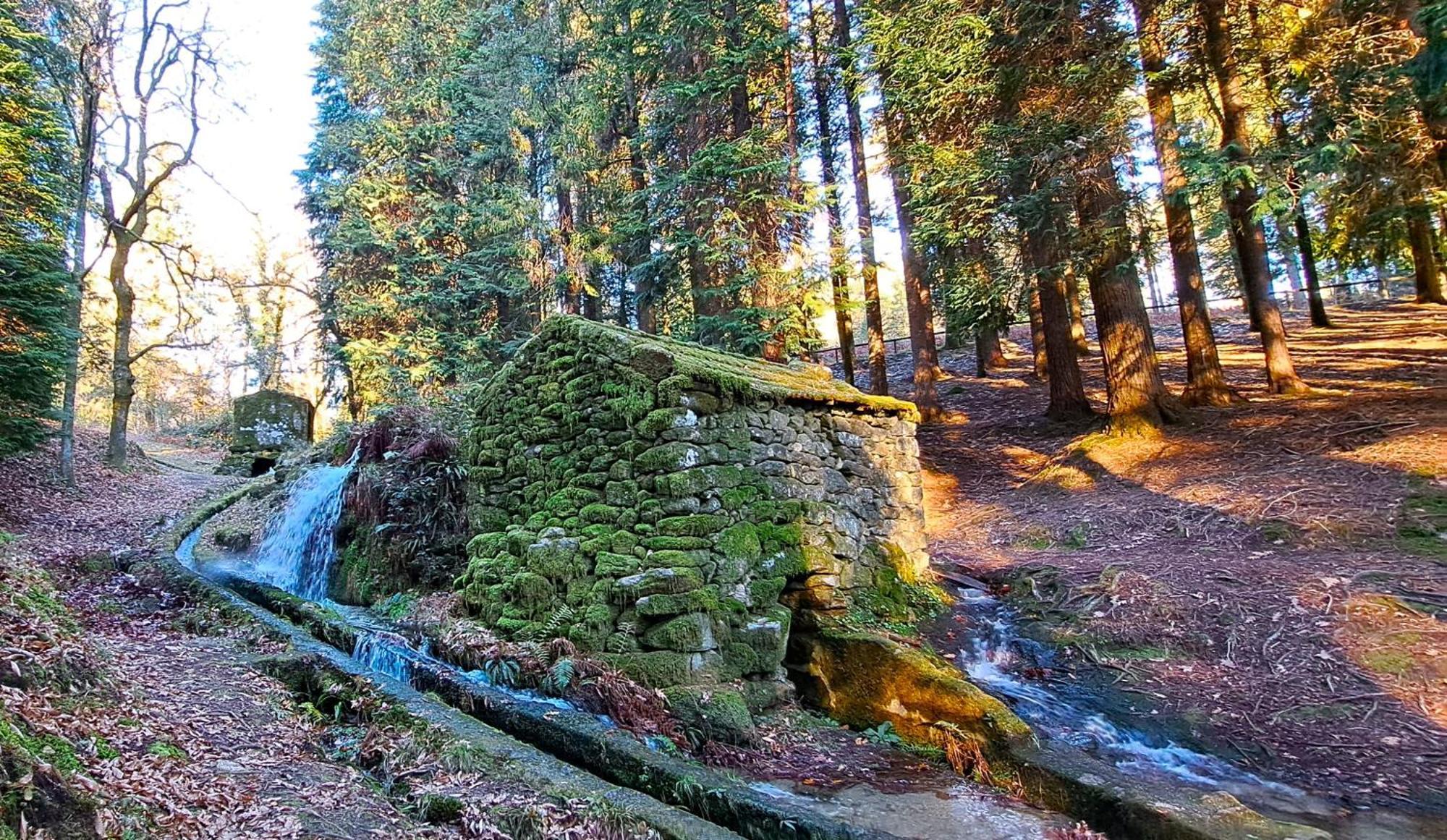 Matos Casas De Campo Cabeceiras de Basto Dış mekan fotoğraf