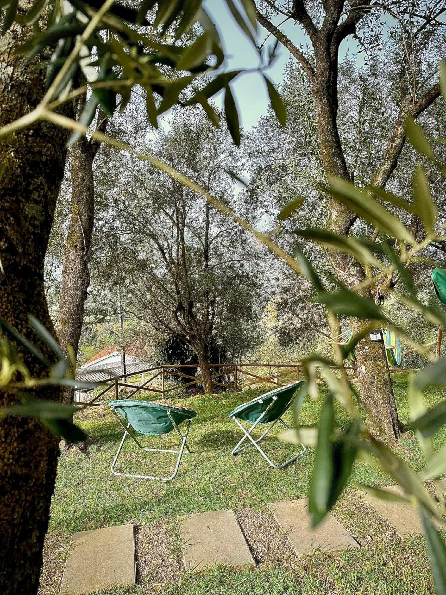 Matos Casas De Campo Cabeceiras de Basto Dış mekan fotoğraf